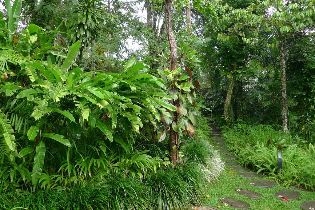 Villa Umah Shanti Ubud  Ngoại thất bức ảnh