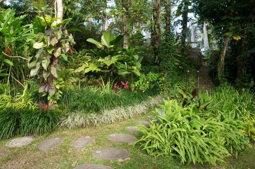 Villa Umah Shanti Ubud  Ngoại thất bức ảnh